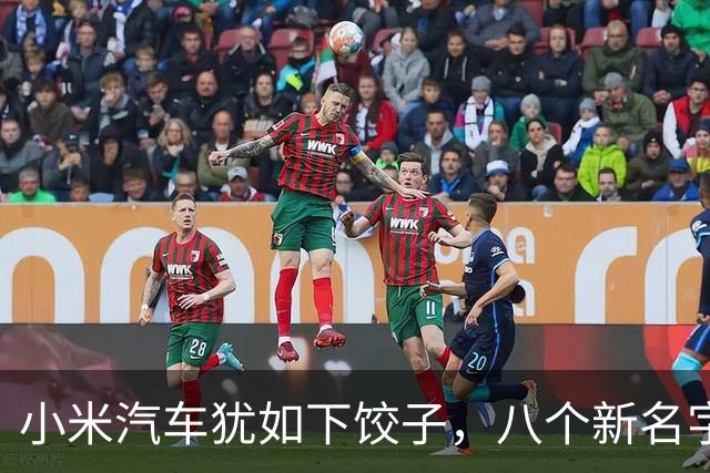 小米汽车犹如下饺子，八个新名字闪亮登场！