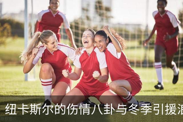 纽卡斯尔的伤情八卦与冬季引援浪潮